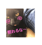 りゅうとその仲間たち（個別スタンプ：5）