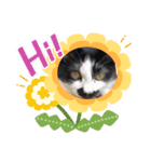 りゅうとその仲間たち（個別スタンプ：8）