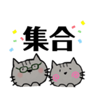 灰ねこねこ①（個別スタンプ：17）