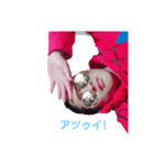 帰ってきたなかまつ（個別スタンプ：3）
