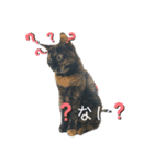 momo vol,2（個別スタンプ：2）