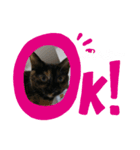 momo vol,2（個別スタンプ：3）