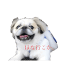 びびまる日記（個別スタンプ：1）