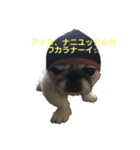 びびまる日記（個別スタンプ：4）