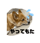 我が家のえびす（個別スタンプ：3）