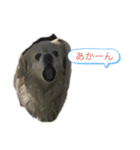 チベ2020（個別スタンプ：3）
