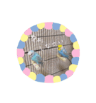 レオアリまいにち2（個別スタンプ：2）
