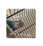レオアリまいにち2（個別スタンプ：3）