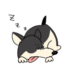 ケンタくんといっしょ（個別スタンプ：3）