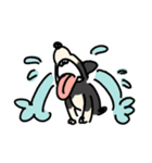 ケンタくんといっしょ（個別スタンプ：24）
