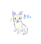 やわらか水彩スタンプ（個別スタンプ：22）