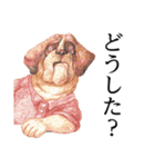 主張するどうぶつたち（個別スタンプ：15）