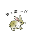 うさぎさん達の一言（個別スタンプ：4）