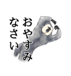 きほんのシロガオサキ（個別スタンプ：2）