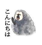 きほんのシロガオサキ（個別スタンプ：3）