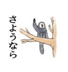 きほんのシロガオサキ（個別スタンプ：4）