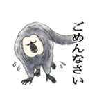 きほんのシロガオサキ（個別スタンプ：5）