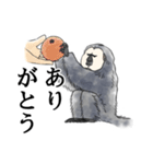 きほんのシロガオサキ（個別スタンプ：6）