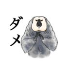きほんのシロガオサキ（個別スタンプ：8）