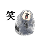 きほんのシロガオサキ（個別スタンプ：9）