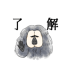 きほんのシロガオサキ（個別スタンプ：10）