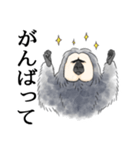 きほんのシロガオサキ（個別スタンプ：11）