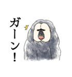 きほんのシロガオサキ（個別スタンプ：14）