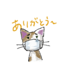 気づかいマスク猫（個別スタンプ：7）