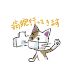 気づかいマスク猫（個別スタンプ：16）