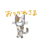 気づかいマスク猫（個別スタンプ：25）