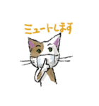 気づかいマスク猫（個別スタンプ：29）