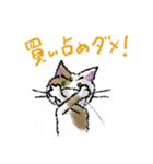 気づかいマスク猫（個別スタンプ：30）