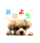 ぷーすたんぷ2（個別スタンプ：1）