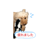 日常のひとこまに こまちスタンプ（個別スタンプ：2）