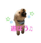 日常のひとこまに こまちスタンプ（個別スタンプ：7）