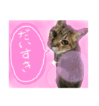だいすきなくっちゃん❤️（個別スタンプ：1）