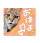 だいすきなくっちゃん❤️（個別スタンプ：2）