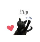 黒猫レオ詰め合わせ（個別スタンプ：4）