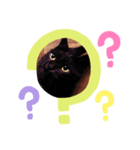 黒猫レオ詰め合わせ（個別スタンプ：8）
