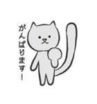 白いねこスタンプ（個別スタンプ：29）