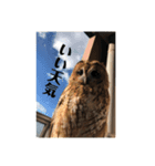 モリフクロウのもりちゃん（個別スタンプ：5）