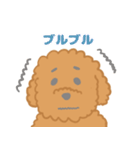 家族で使える！トイプードルのいる毎日（個別スタンプ：2）
