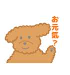 家族で使える！トイプードルのいる毎日（個別スタンプ：10）