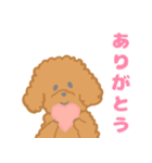 家族で使える！トイプードルのいる毎日（個別スタンプ：12）