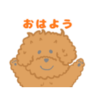 家族で使える！トイプードルのいる毎日（個別スタンプ：13）