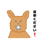 家族で使える！トイプードルのいる毎日（個別スタンプ：14）