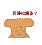 家族で使える！トイプードルのいる毎日（個別スタンプ：16）