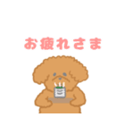 家族で使える！トイプードルのいる毎日（個別スタンプ：20）