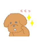 家族で使える！トイプードルのいる毎日（個別スタンプ：23）