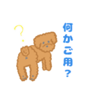 家族で使える！トイプードルのいる毎日（個別スタンプ：29）
